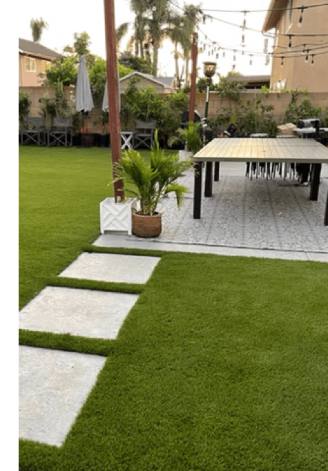 Shaw grass | Family Turf Wholesalers