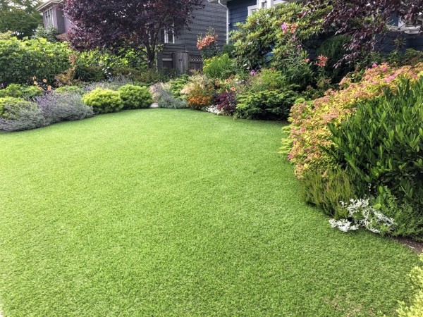 Turf | Family Turf Wholesalers