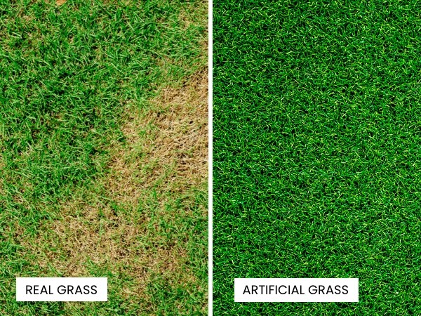 Grass-comparison | Family Turf Wholesalers