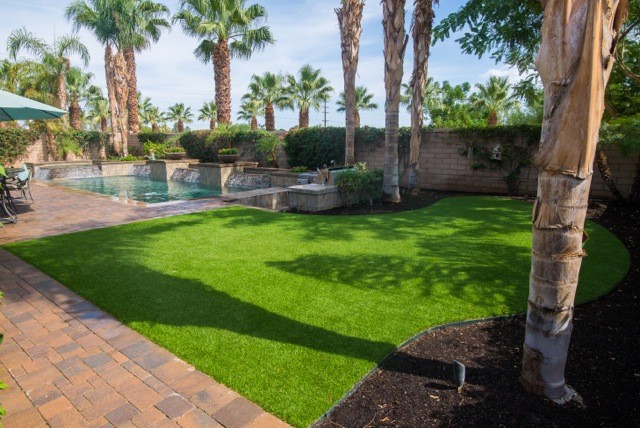 Shaw grass | Family Turf Wholesalers