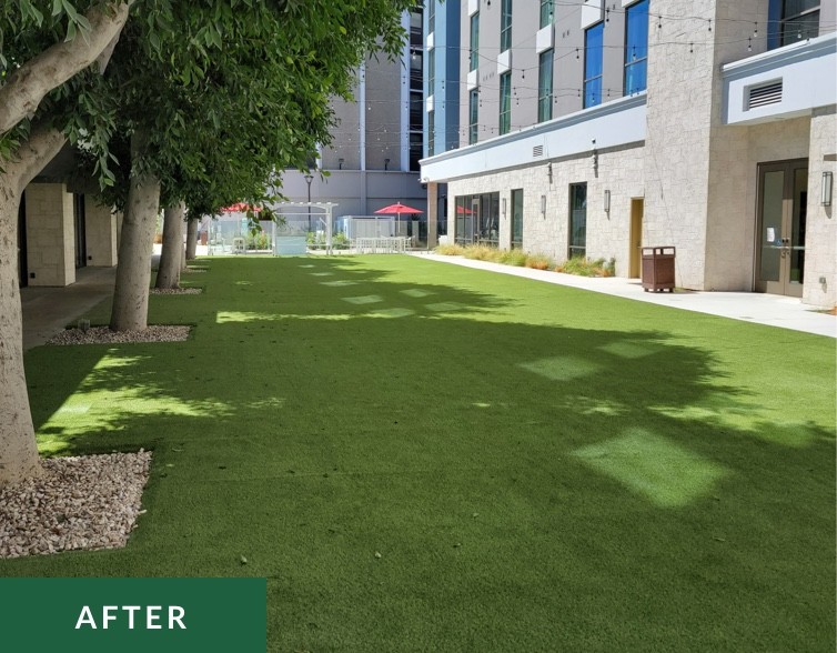 Grass after installation | Family Turf Wholesalers