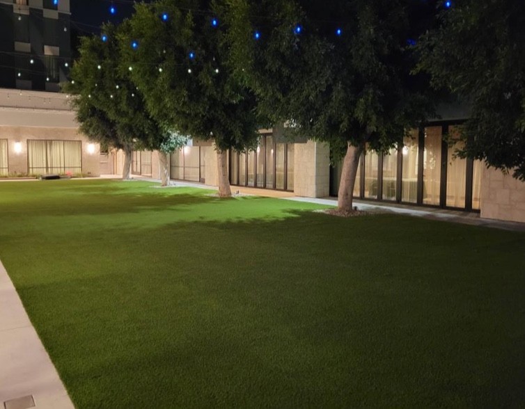 Shaw grass | Family Turf Wholesalers