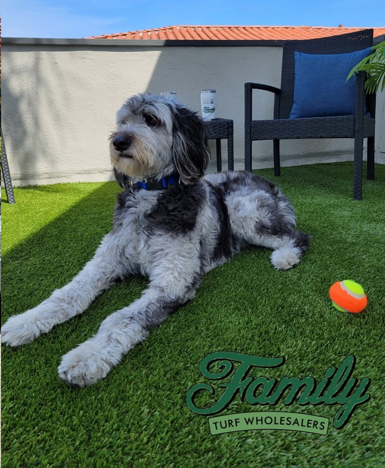 seal-beach-rooftop | Family Turf Wholesalers