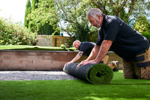 How To Maintain Your Artificial Turf / Synthetic Grass Lawn | Family Turf Wholesalers