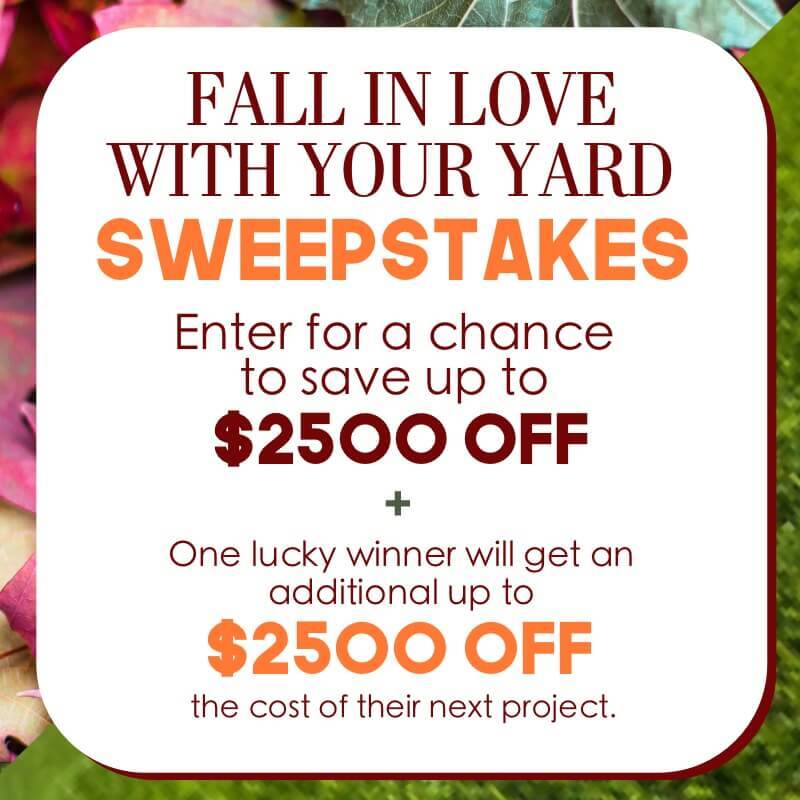 fall-in-love-sweepstakes