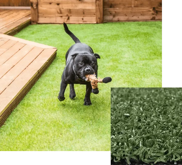 imgi_7_pet-turf-artifical