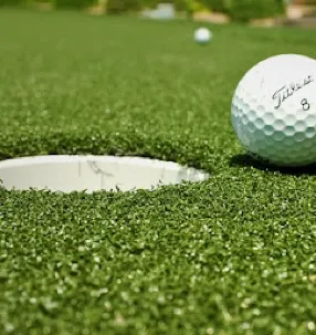 imgi_8_backyard-putting-greens-what-you-need-to-know