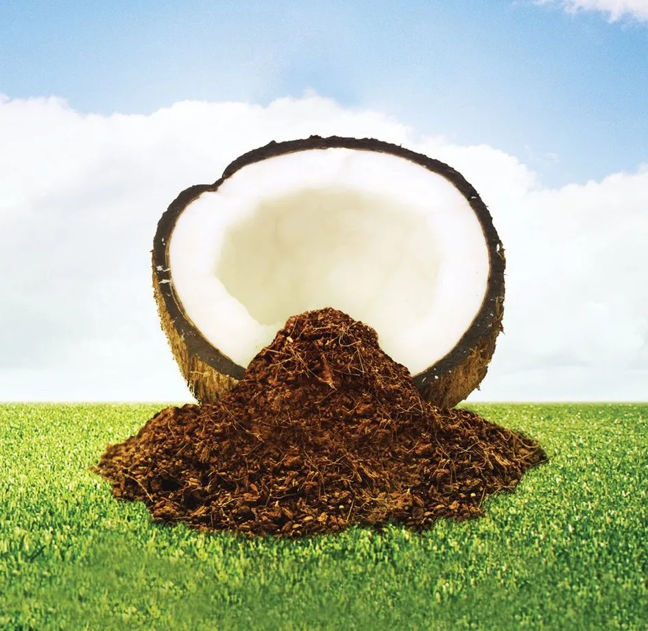 imgi_8_geofill-coconut