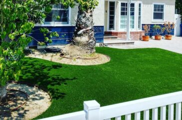 Lawn | Family Turf Wholesalers